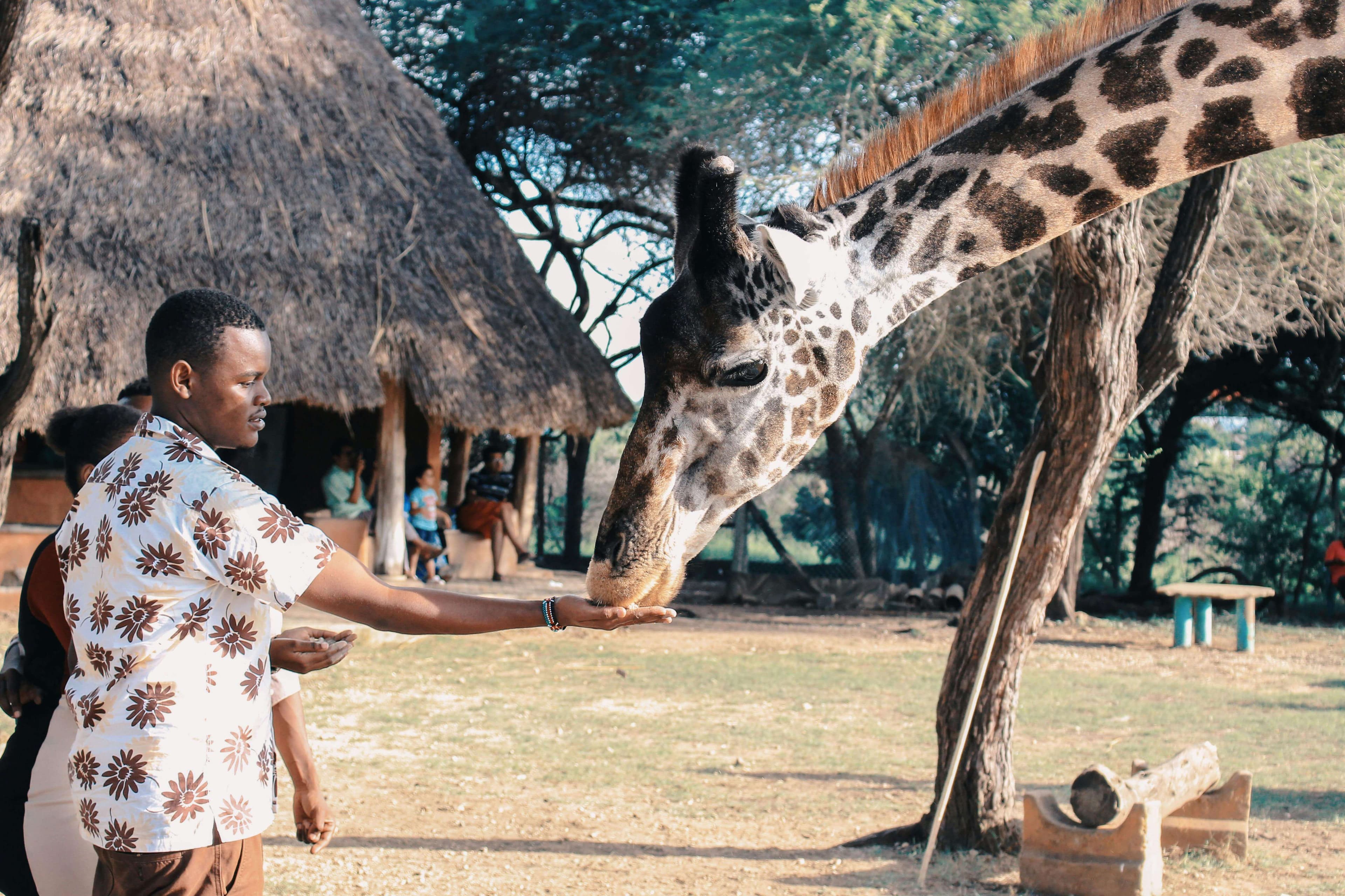 Kenya Travel Guide 2025: Everything You Need to Know