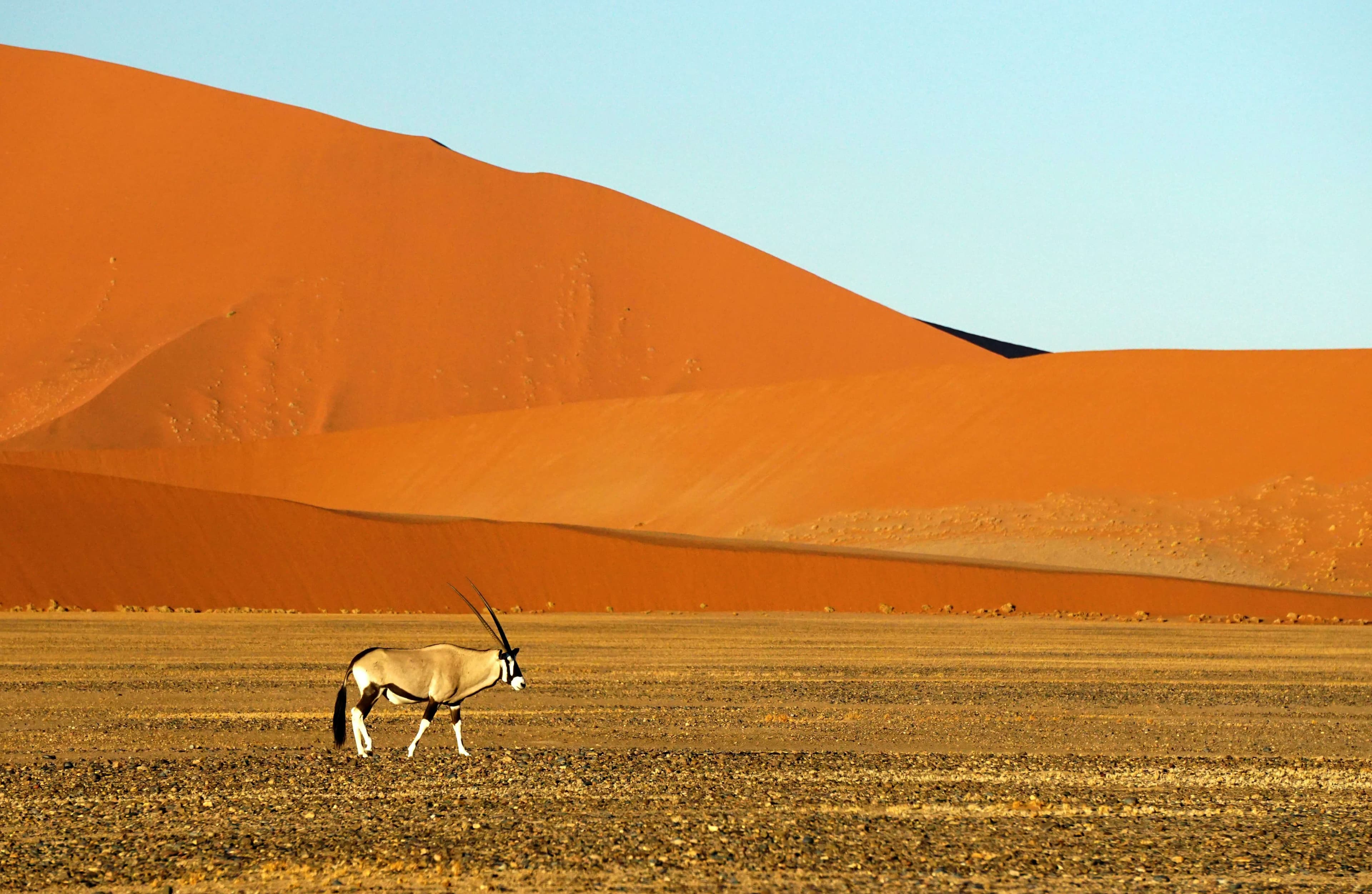 Namibia Travel Guide 2025: Everything You Need to Know