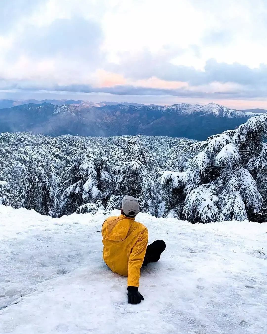 Chrea National Park Day Trip from Algiers: Hiking, Wildlife & Trails (2026)