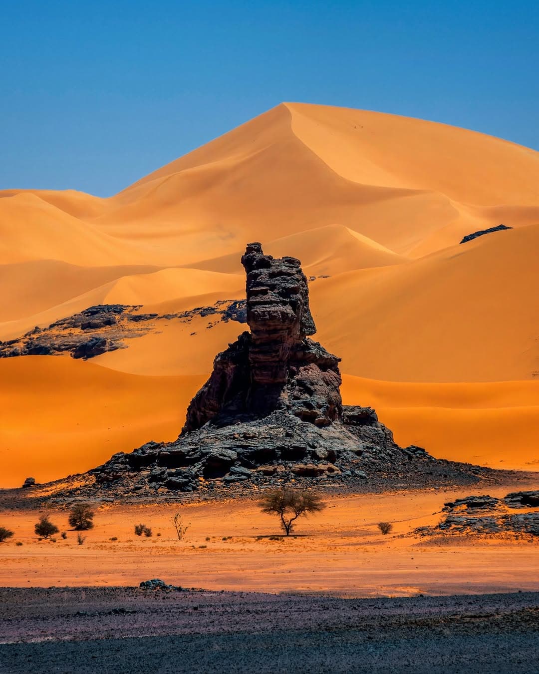 Djanet & Tassili n’Ajjer Travel Guide 2026: Rock Art, Hiking & Desert Landscapes