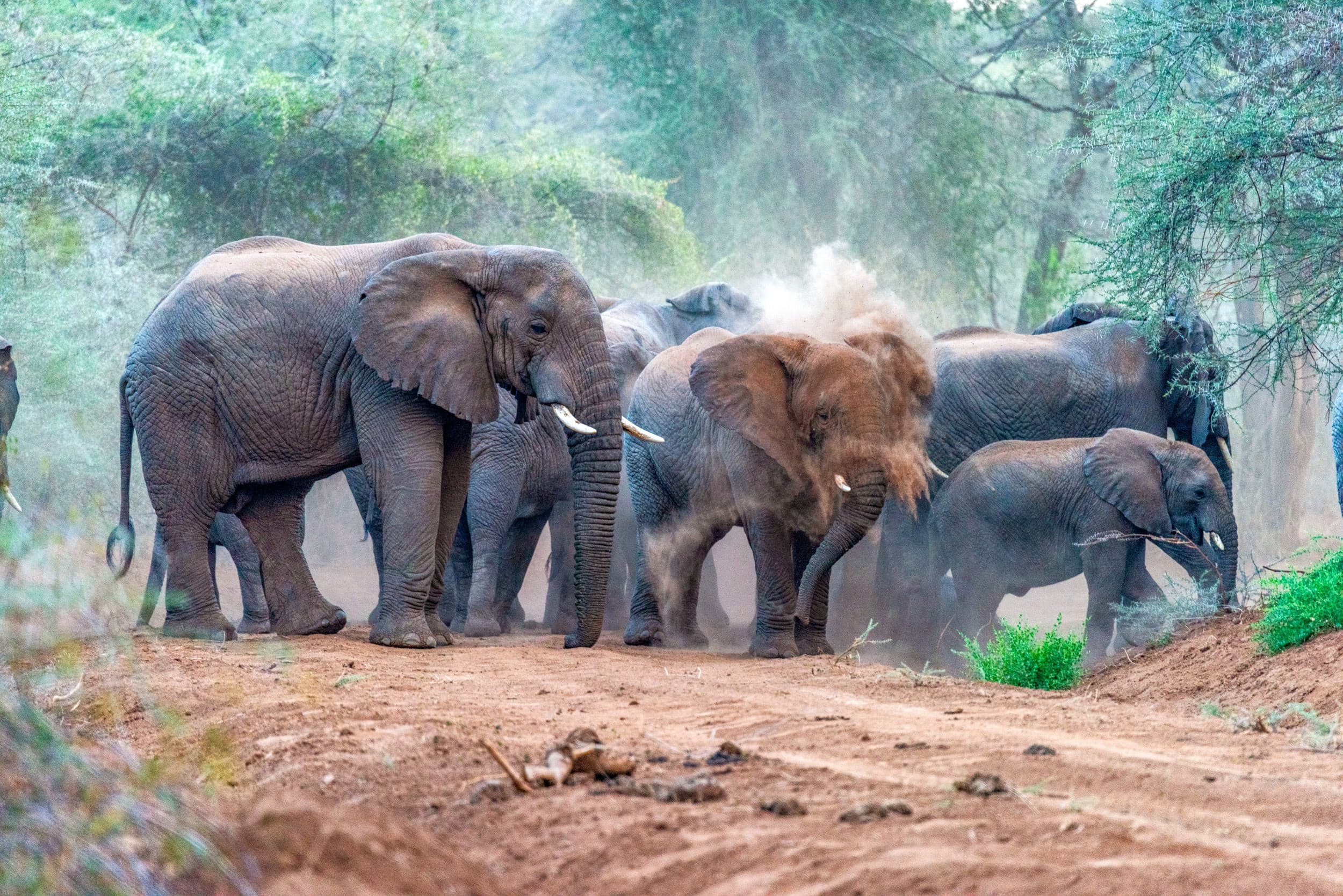 Rimoi National Reserve Kenya: The Complete Guide to This Hidden Safari Gem