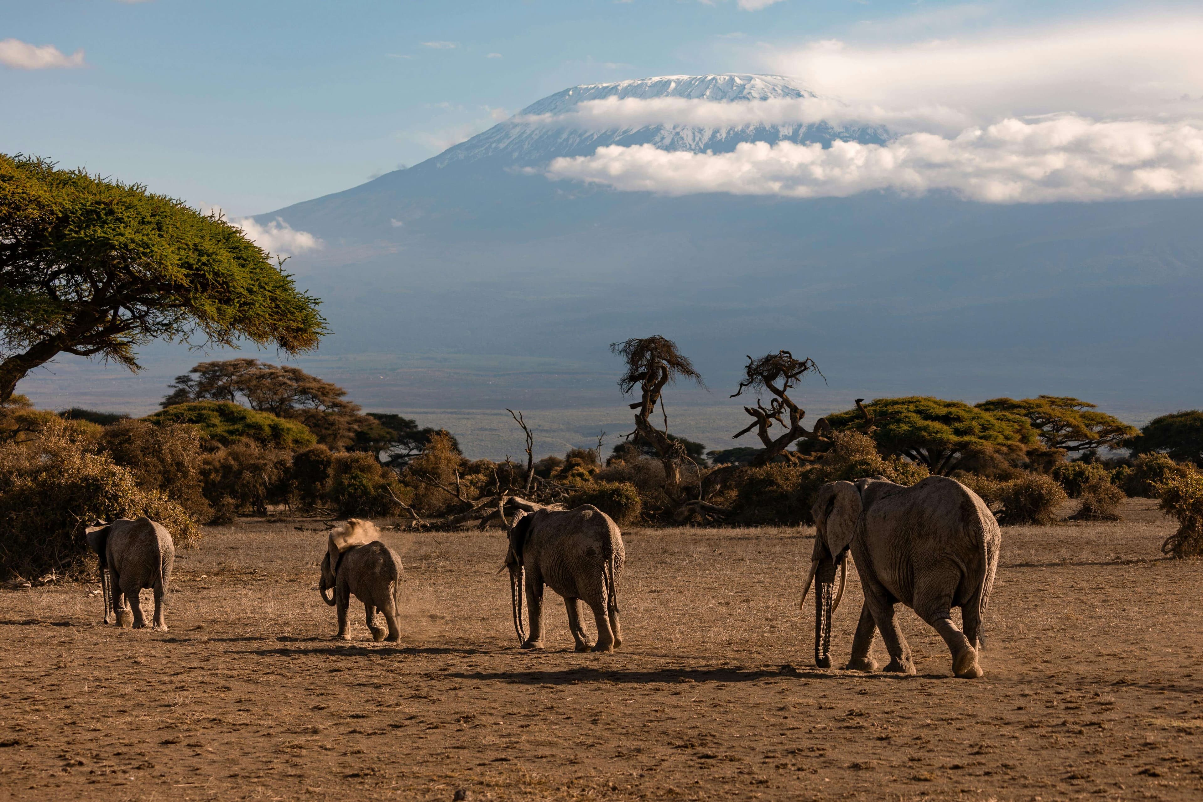 Tanzania Travel Guide 2026 for First-Time Travelers