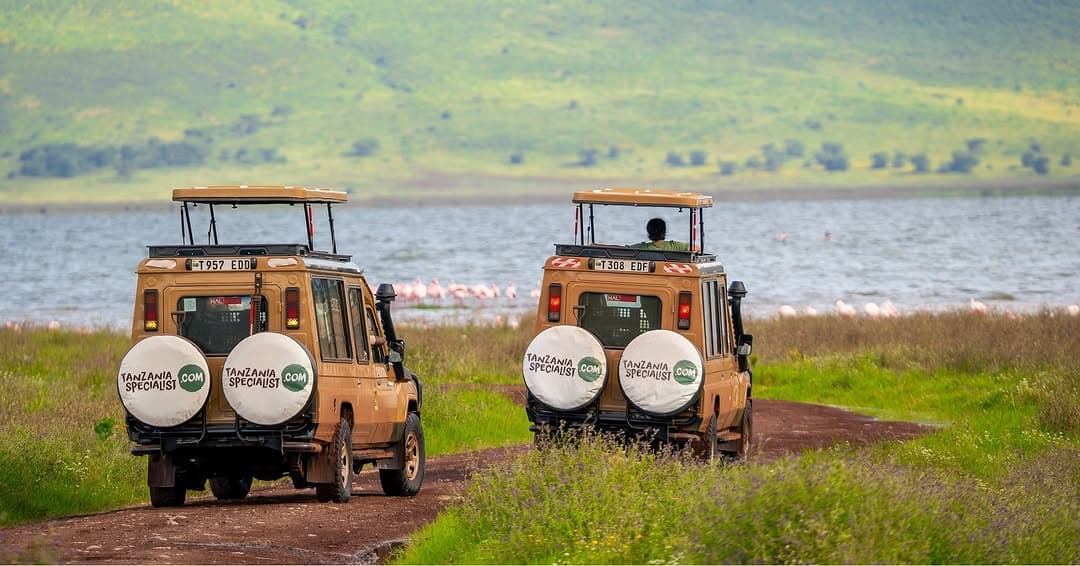 Tanzania Safari Planning Guide (2026): Parks, Costs, Best Time & Expert Tips