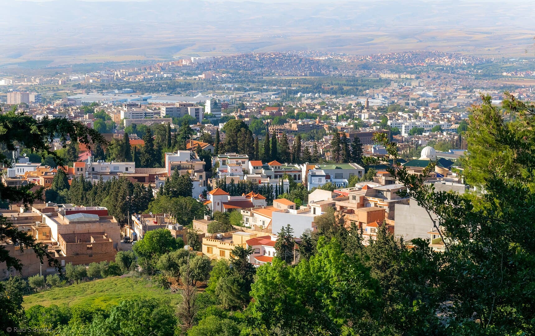 Best Hotels in Tlemcen: Top Stays Near Historic Sites & Palaces (2026)